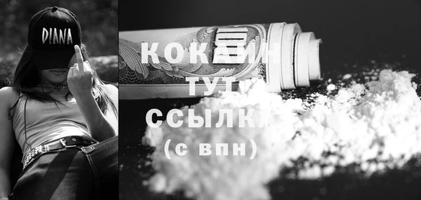 соль ск Гусь-Хрустальный